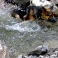 Aiko subiendo el rio de orduña